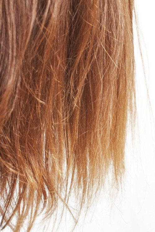 Elegance Unveiled: Best Practices to Tackle Split Ends - Nailah Beauty 